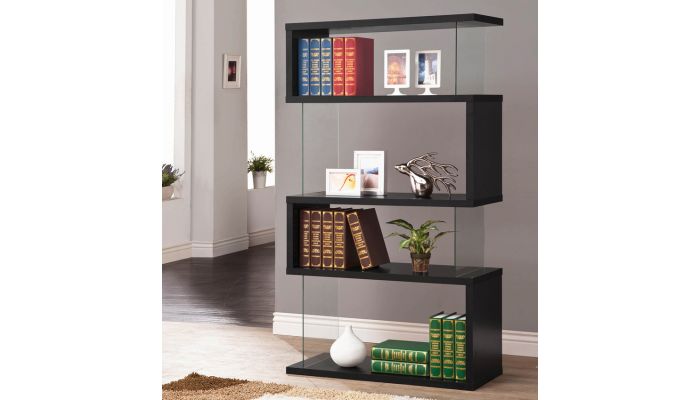 Holray Modern Black Bookcase Display