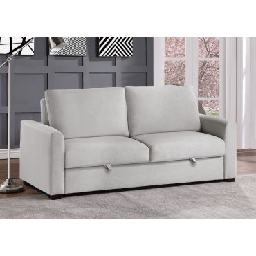 Poland Sofa With Queen Size Sleeper