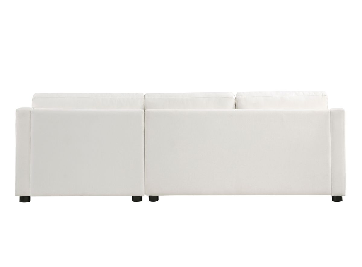 Andraz Sectional Sofa Back Side