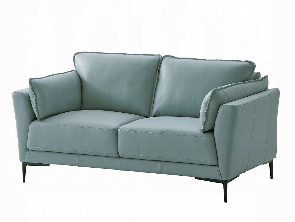 Bradly Top Grain Leather Modern Loveseat